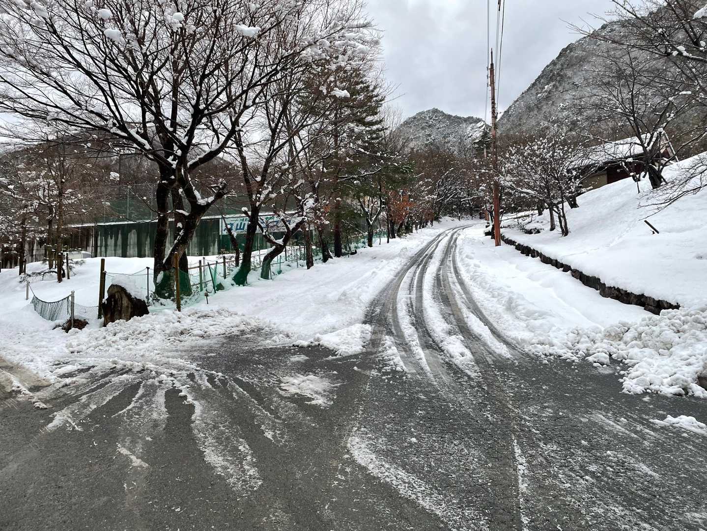 登山口まではこんな感じ