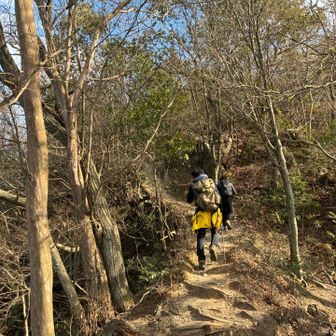 本日同行の
ちびのすけさん(手前)
ぴょんぞうさん(奥)