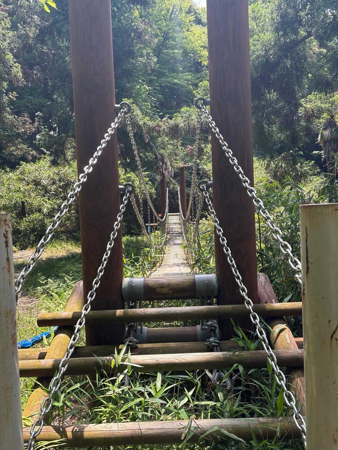 五月山公園大広寺バス停-五月山 往復コースの写真