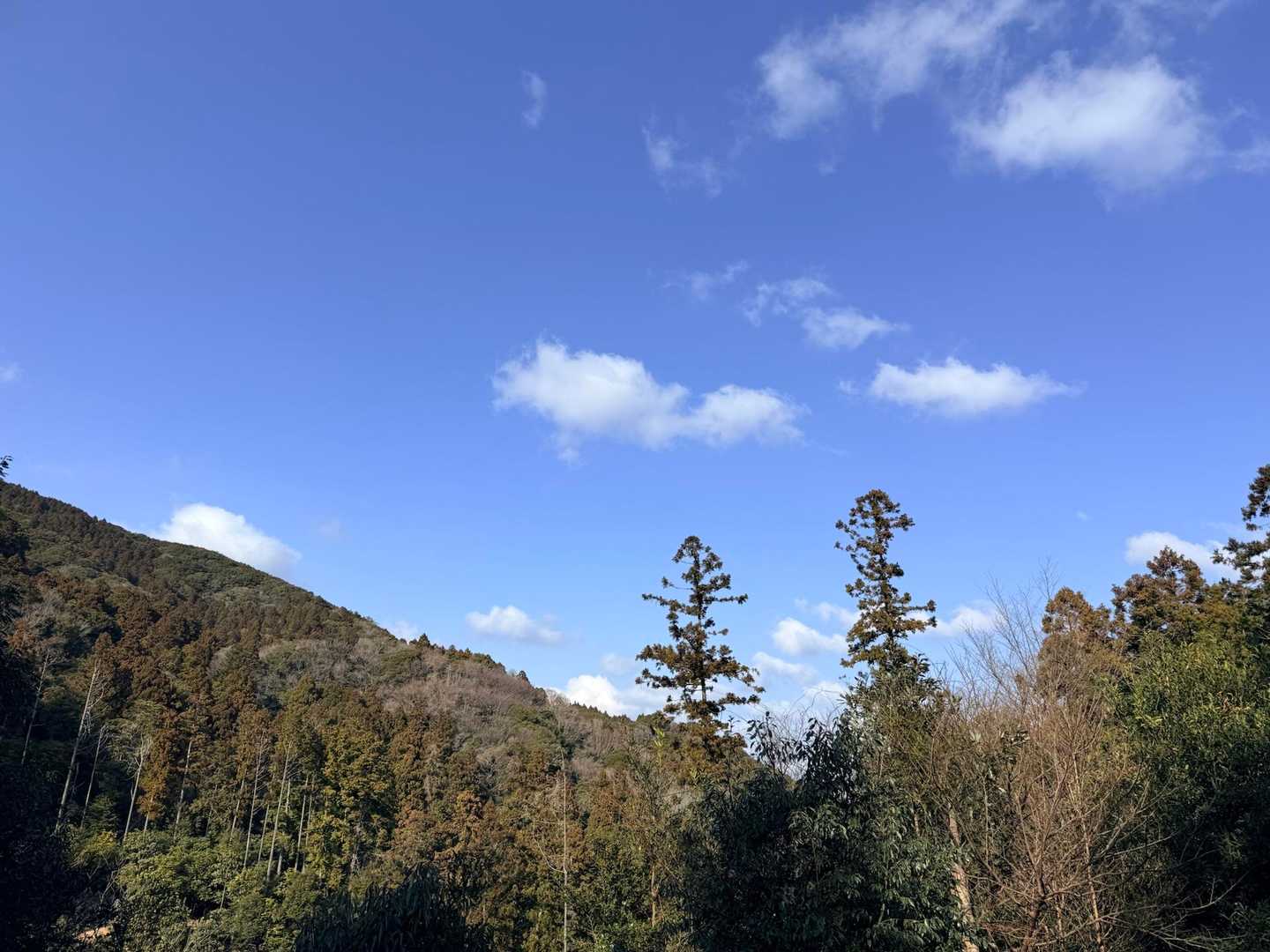 安全地帯に戻り、一安心😮‍💨