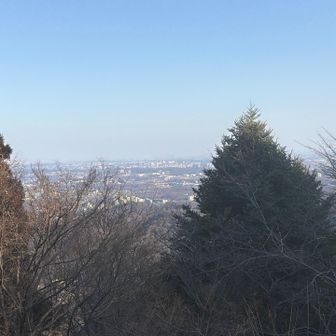 東京の街並み。