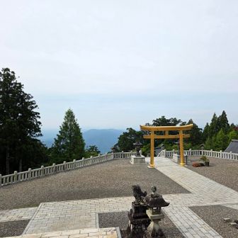 写真でよく見るやーつ