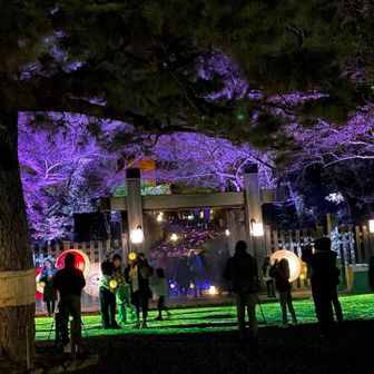 金華山🏯（97回目） / 尚美さんの金華山・洞山・舟伏山の活動データ