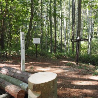 しばらく舗装路を歩き、登山道に入ると「お菊峠」の標識が見えた

その瞬間、お菊さんを思い出し「私キレイ？」のセリフが脳裏に浮かんだ

でも、しばらくして...

違うやん

「1枚･2枚やん」と一人でノリツッコミをしていた

そして、このキャプションを書く時になって、お菊さんとお岩さんがごっちゃになっていたので、しっかりネットで確認しました
