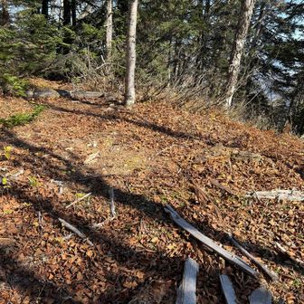 想像よりも山頂は広かったです

この先にピンテあり
行ってみましたが何もナシ

