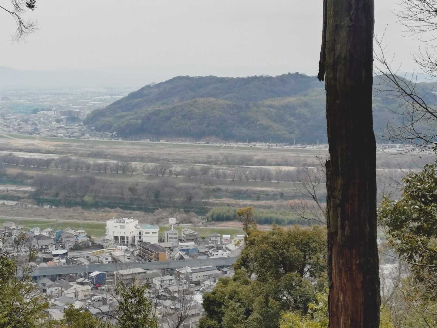 丁度　目の前の山が  石清水八幡宮

背割堤桜🌸も 見えていますが　
まだ　もう少し  先の様です