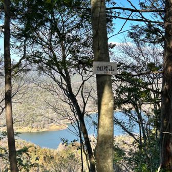 初めての加茂山🏔️