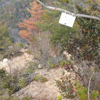 北峰からの下りは狭く、急で滑りやすいので注意
本日は仏平山に行かないのでここが一番の注意ポイント！