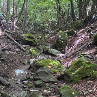 っていうかずっとこんな感じだ