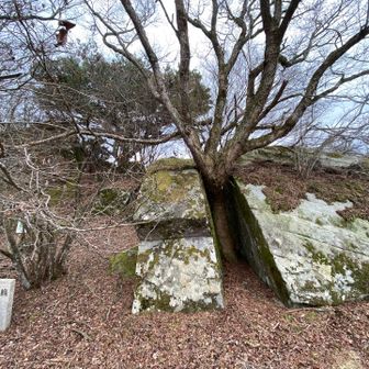 鏡餅切ったよう