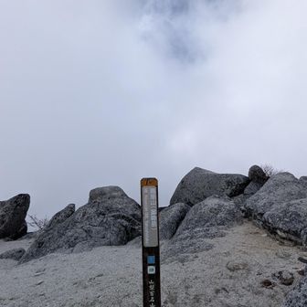 薬師岳到着