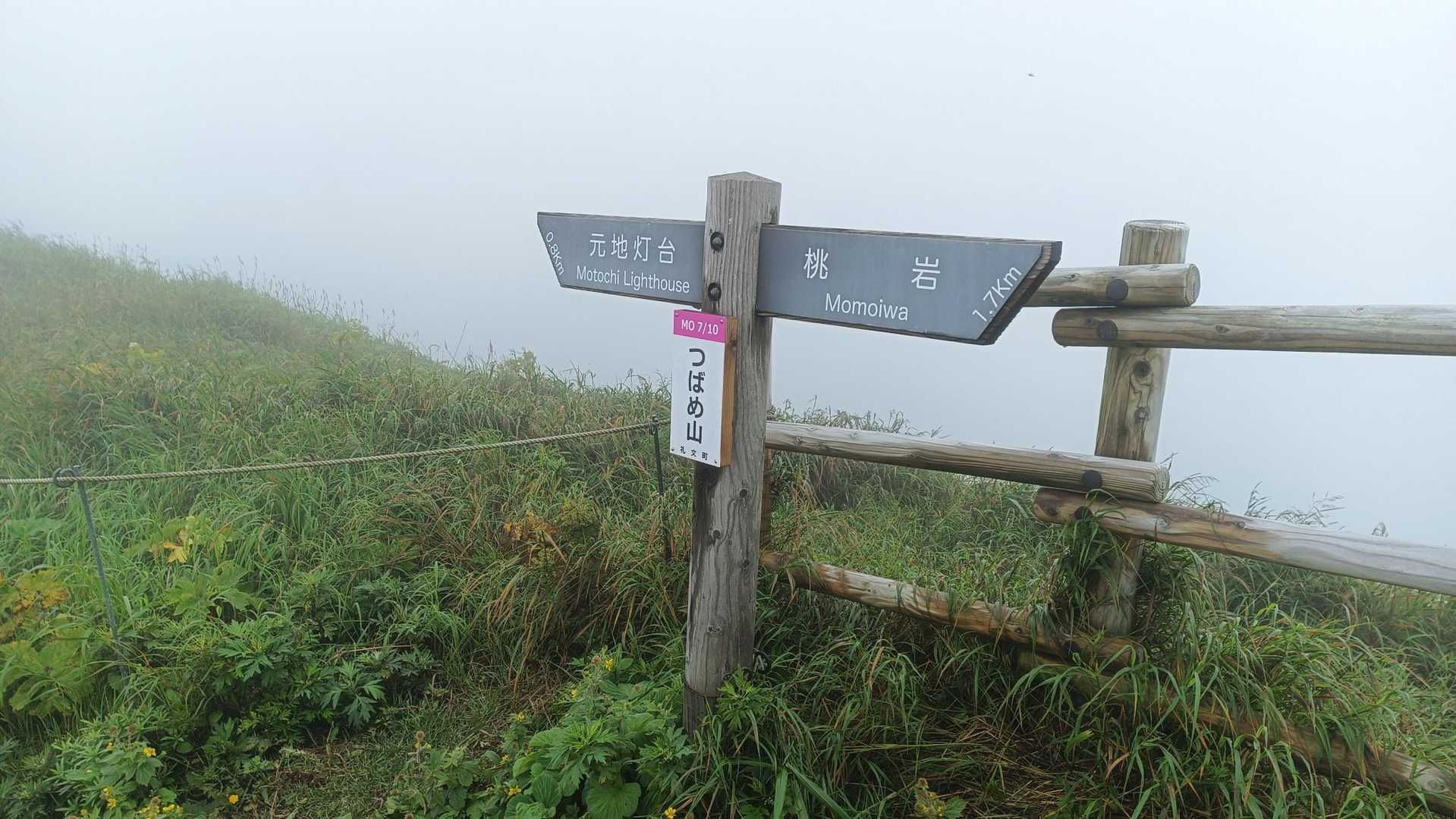 ツバメ山山頂