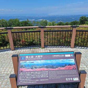 この看板のツツジの群生、見たかったなあ