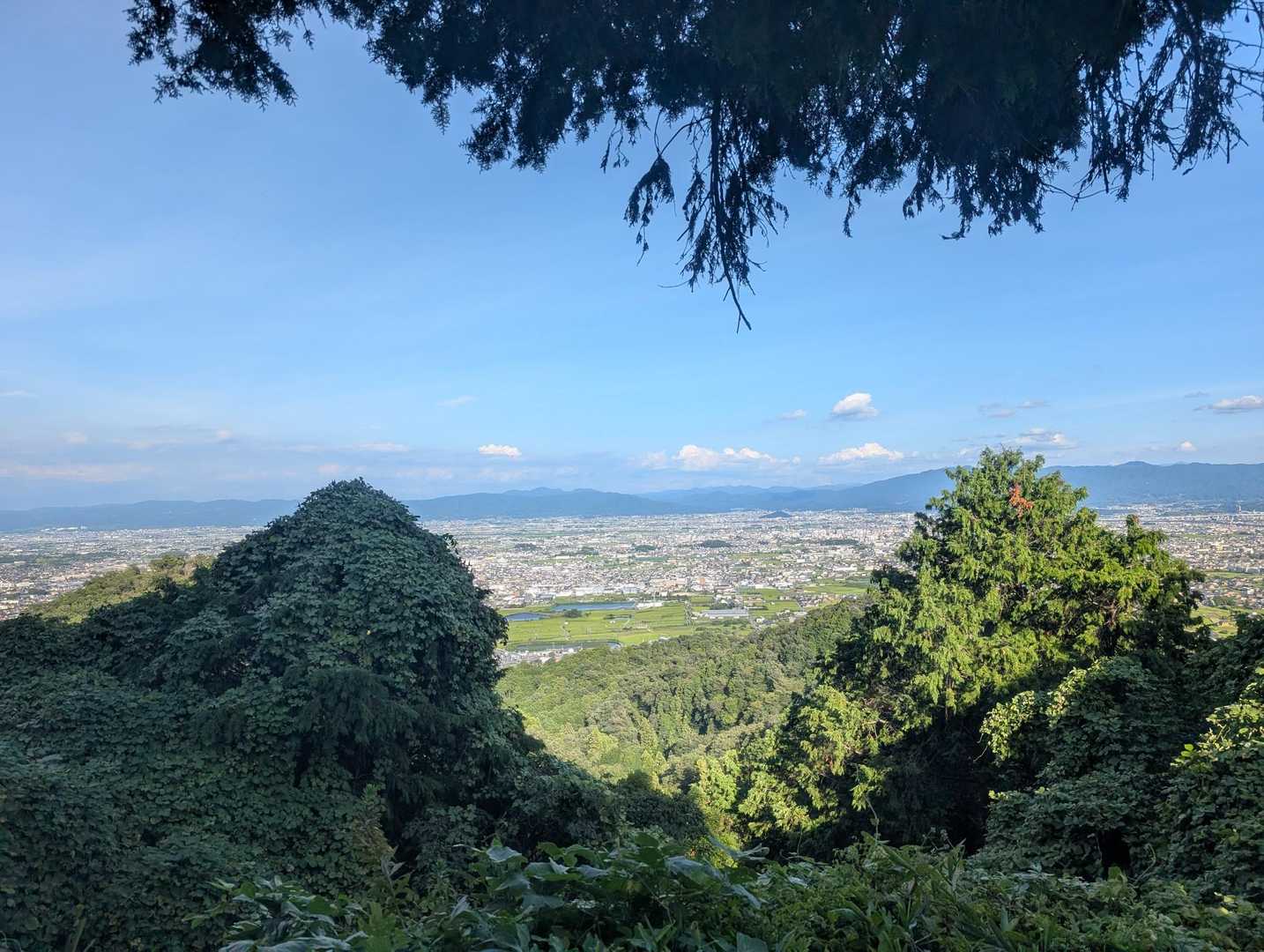 天気良すぎ〜　暑い🫠