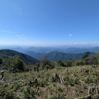山頂、半分展望あり