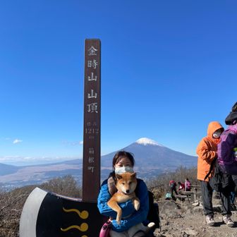 ばっちゃん with柴犬こはる🐶