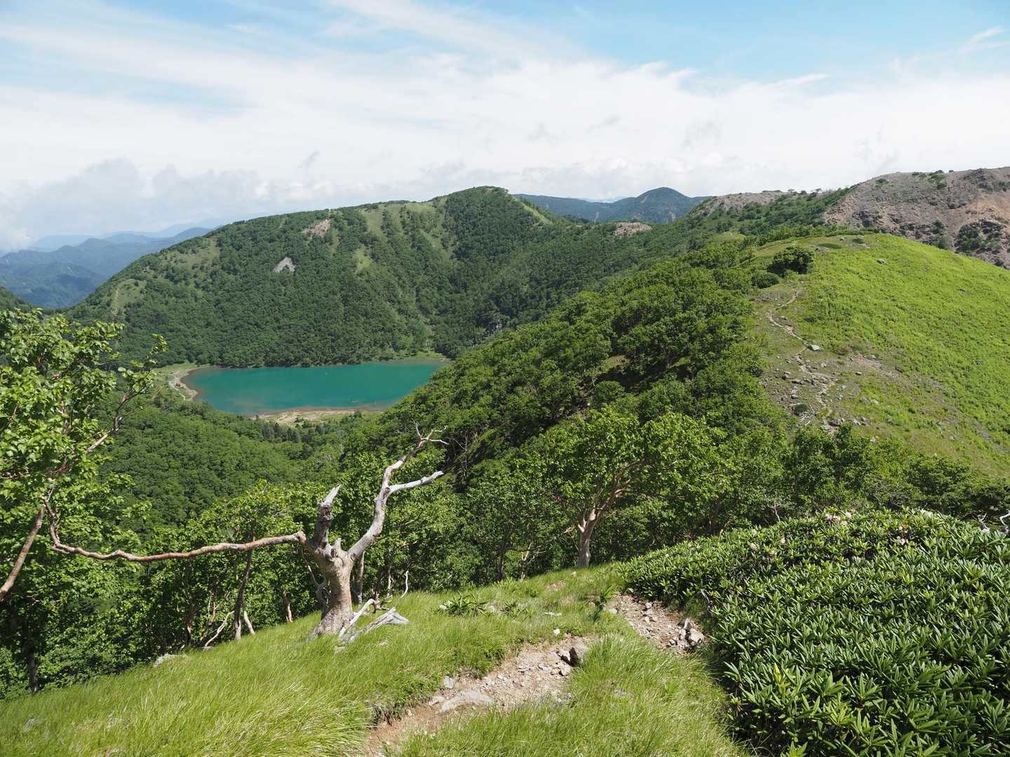 金精峠登山口-金精峠-金精山-国境平-五色山-前白根山-白 往復コースの写真