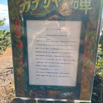 歌を忘れたカナリヤは…