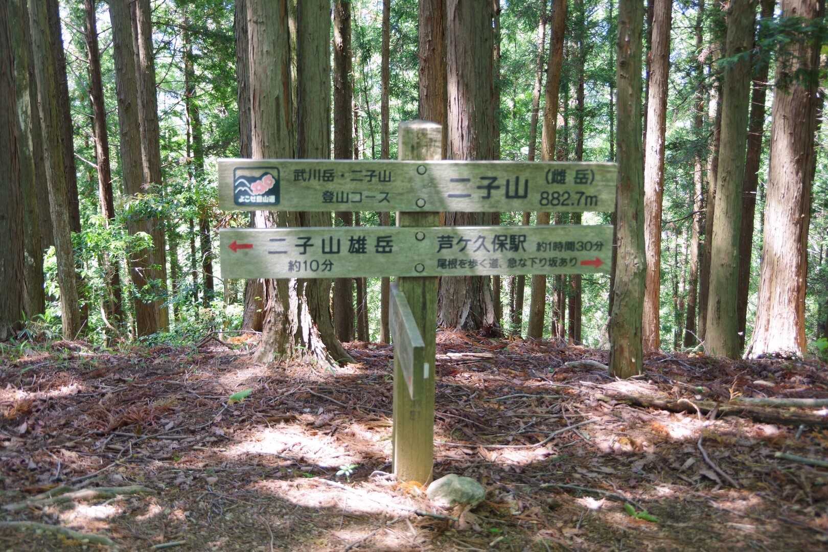 二子山（横瀬二子山雌岳）の写真