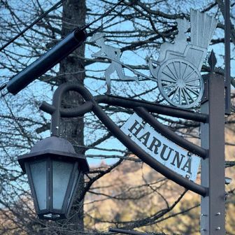 人力車の街灯看板が可愛い
HARUNA😊