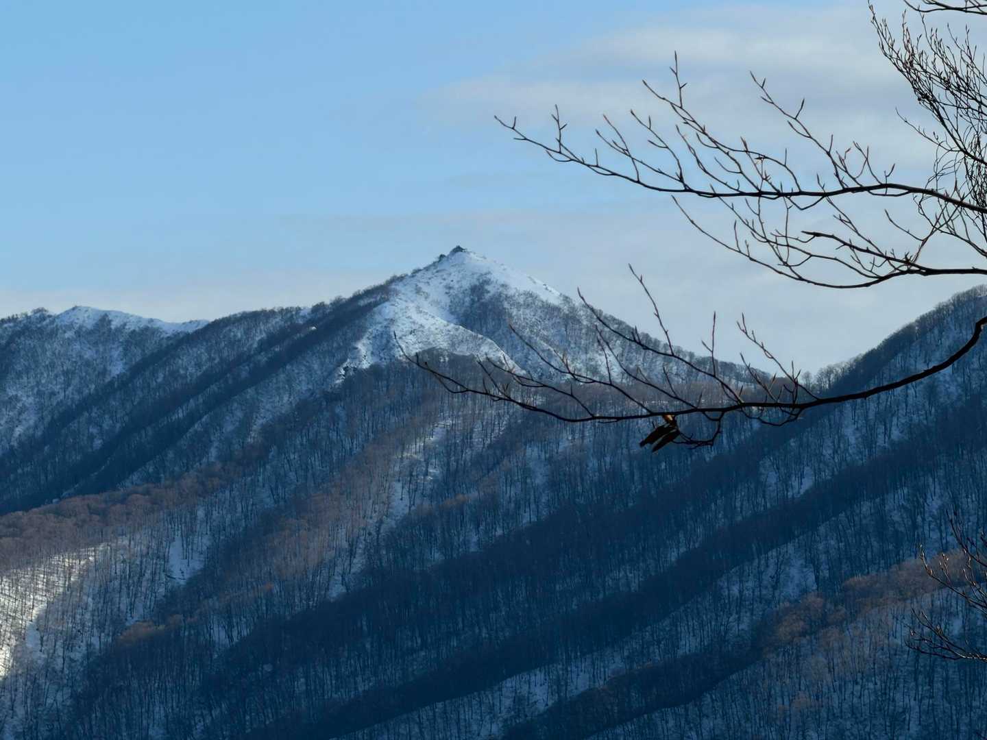 奥岳が良く見えました