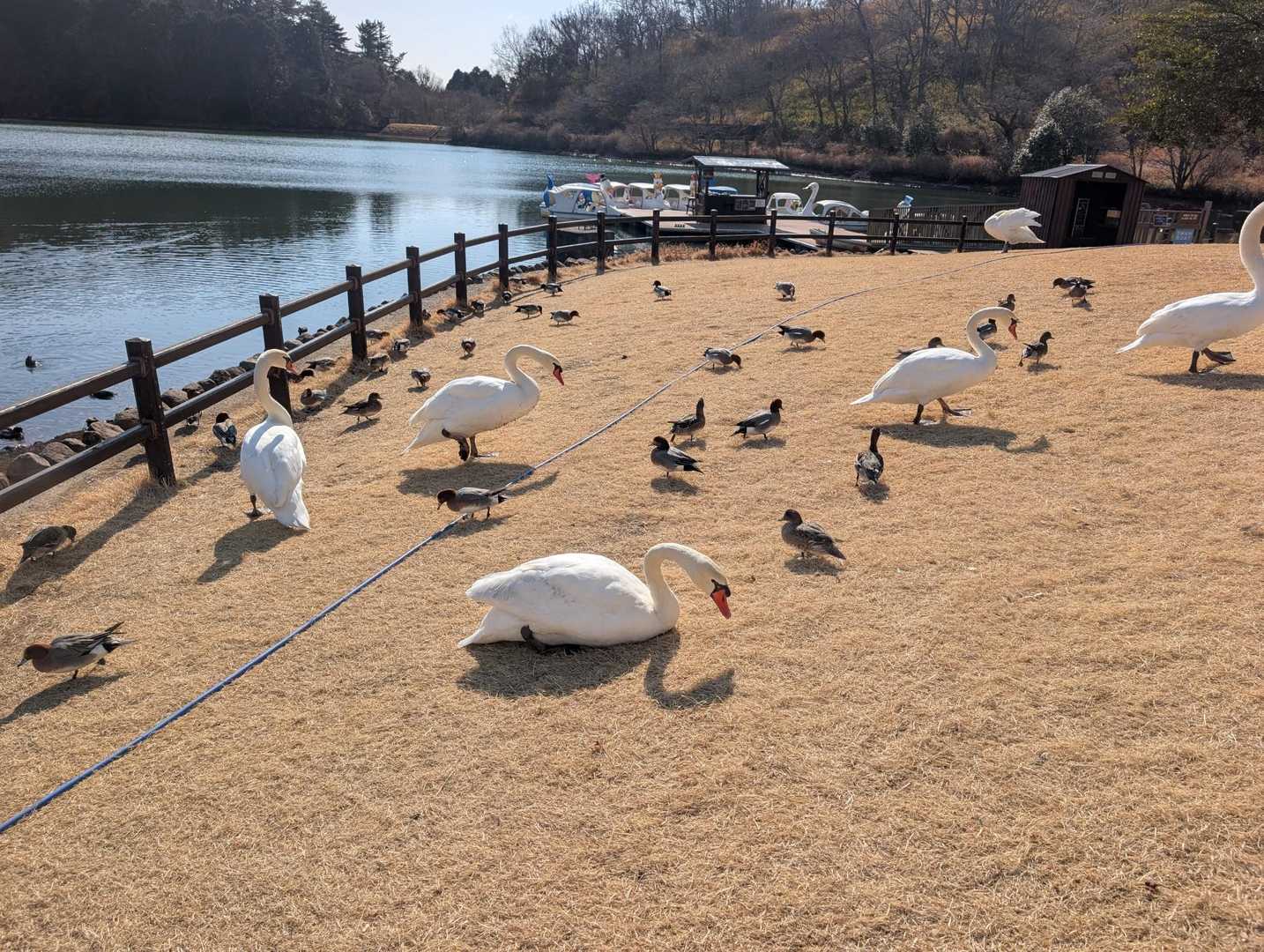 みんなひなたぼっこ😊