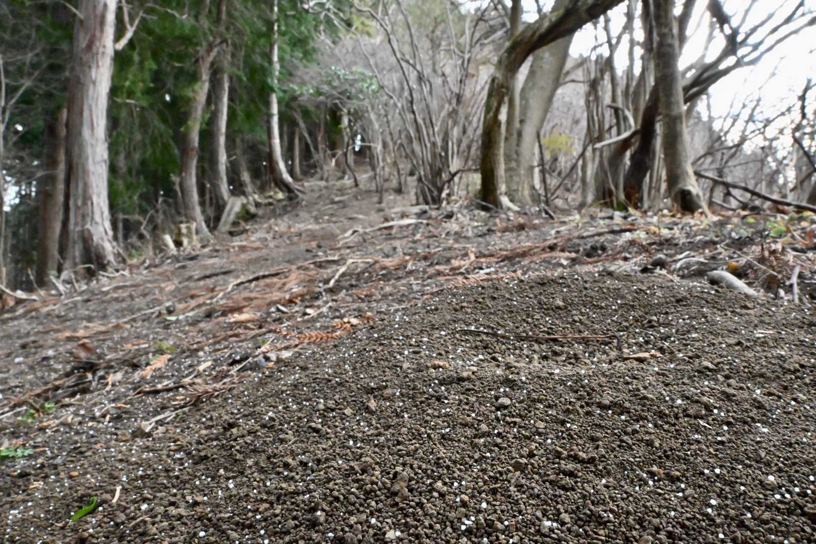 高松山に向かう前に、まずは逆方向の第六天（大六天？）へ。