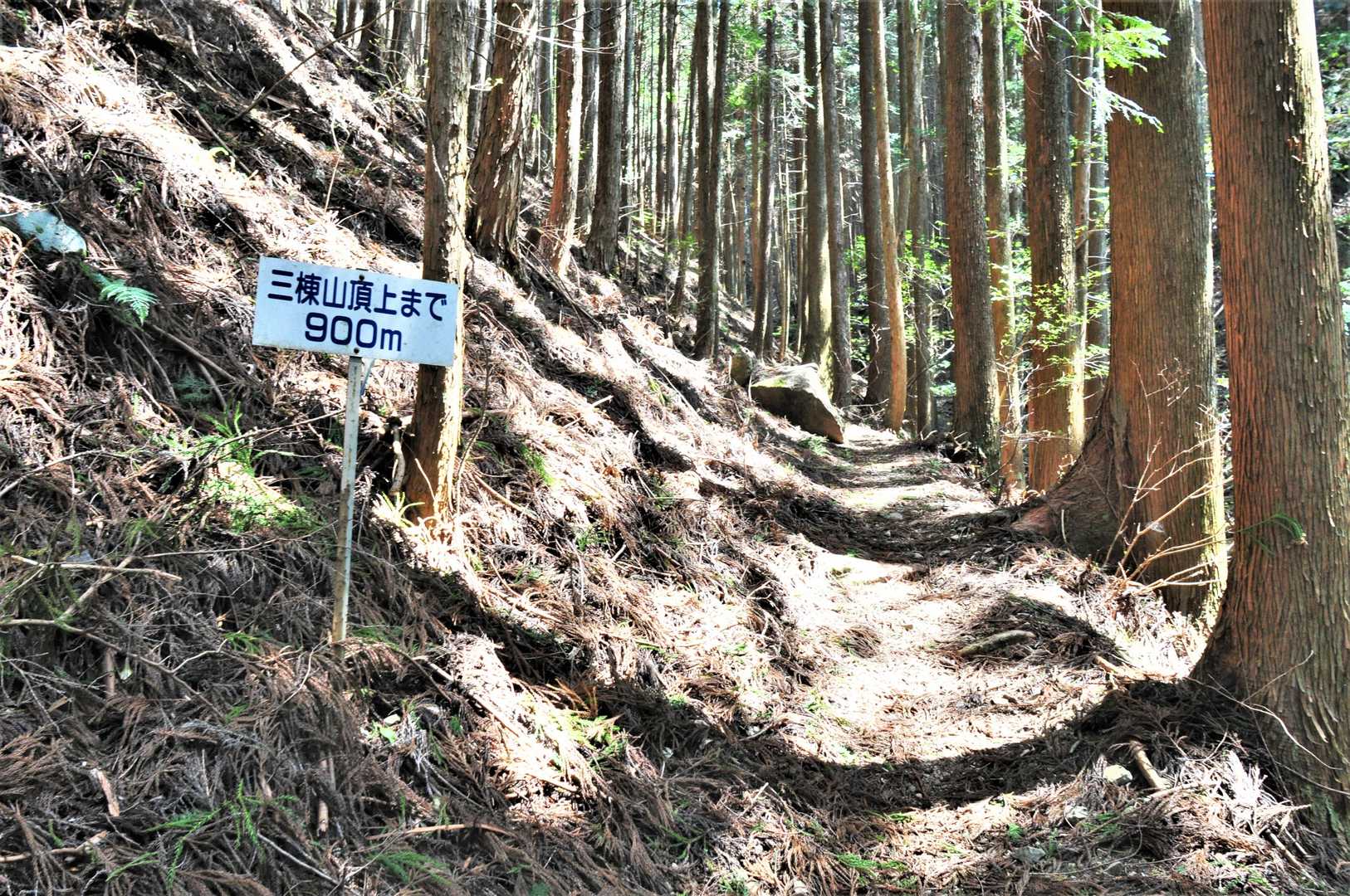 短時間で軽く行くことができるようだ。