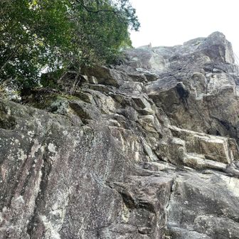 すごい巨石　クライミングされてました