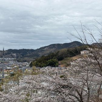 錦着山から太平山を望む。