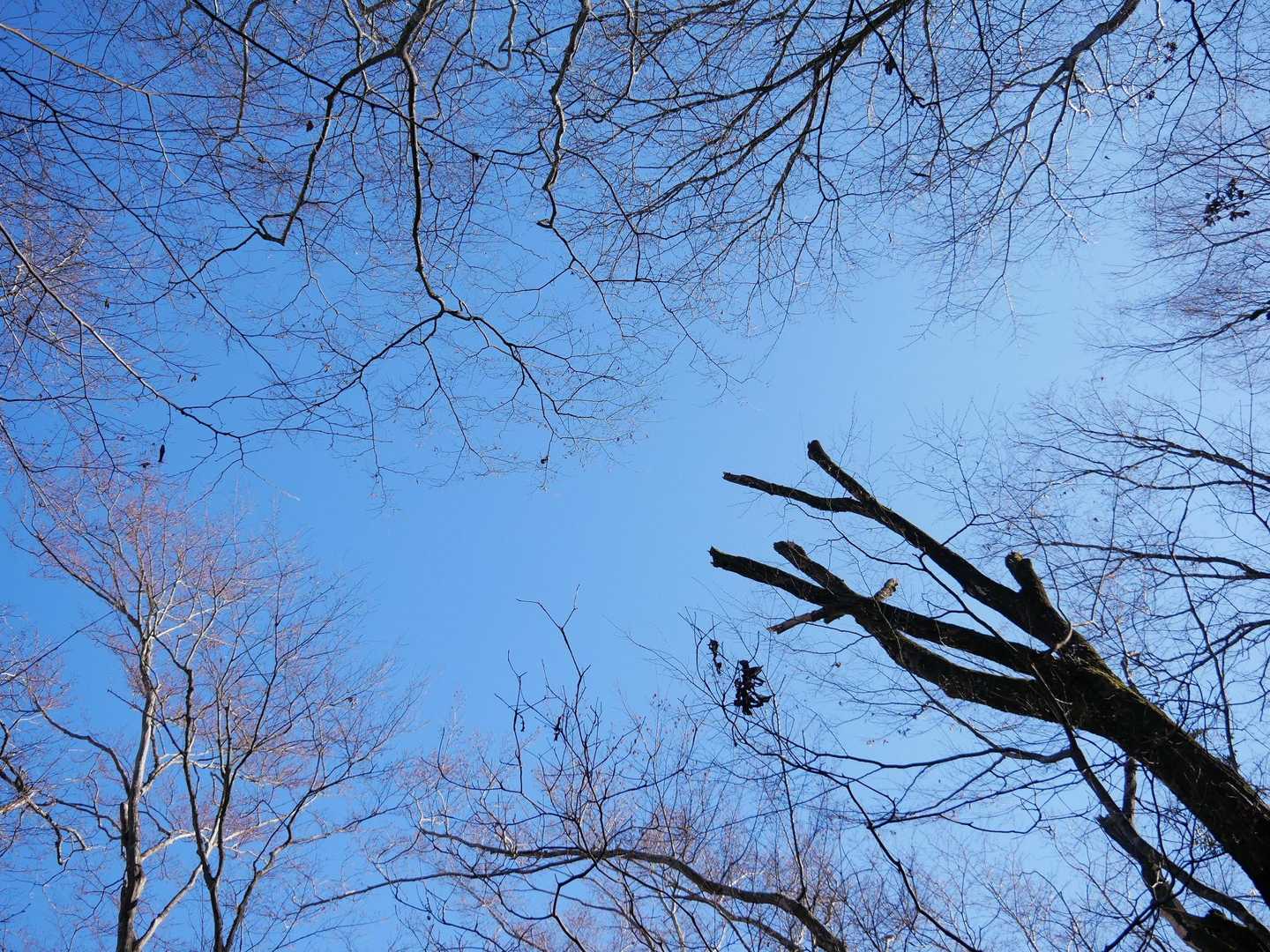 青空です💙
気持ち良く歩けて、来て良かった😊