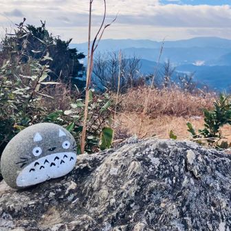雷山トトロ
井原のトトロは見落としてました😟