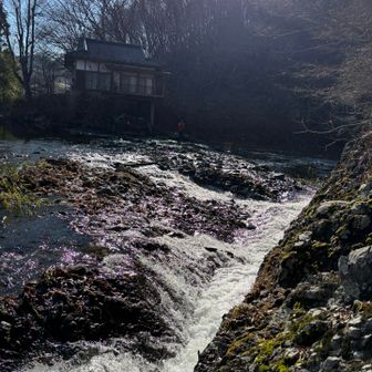 脇に長靴が用意されていました
