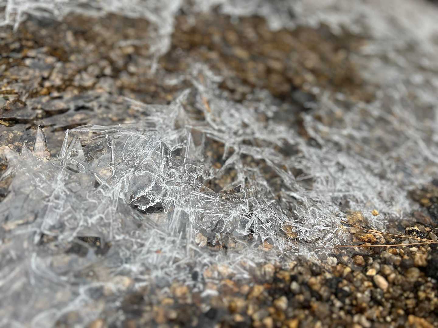 上桐生登山口-鶏冠山 周回コースの写真