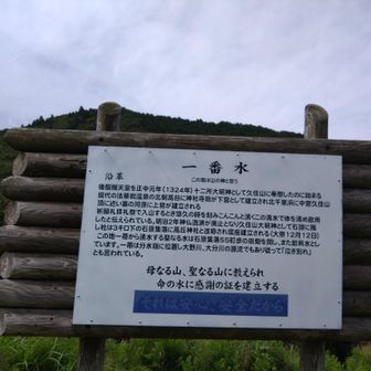 スタートです
