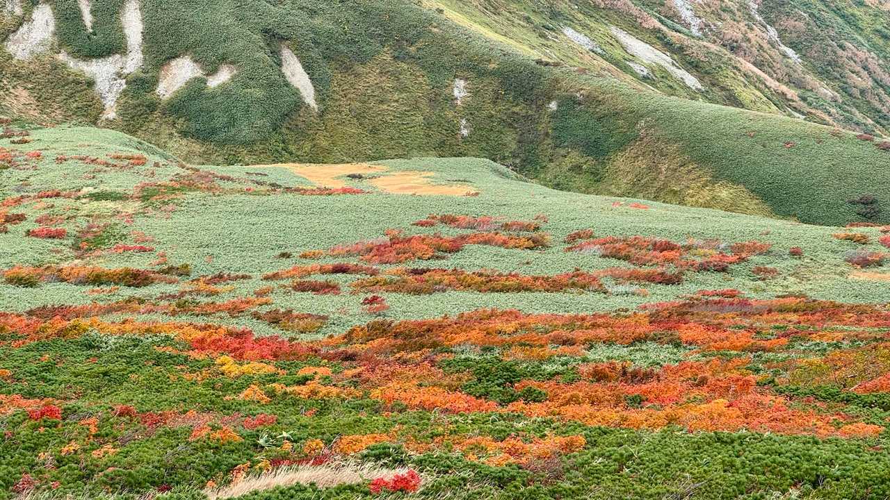 大朝日岳（古寺山・小朝日岳） の写真 38
