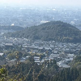 登って来た双ヶ岡からの道