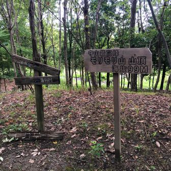 山頂。守山市唯一のYAMAPピーク。