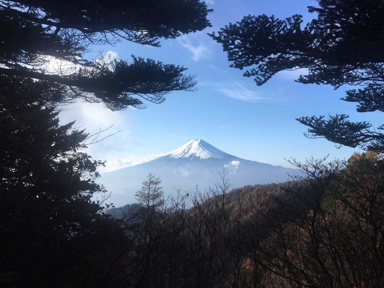三ッ峠山登山口-三ッ峠山-御巣鷹山-茶臼山-大幡山 周回コースの写真