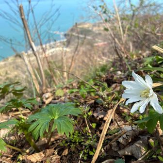 眼下には日本海
