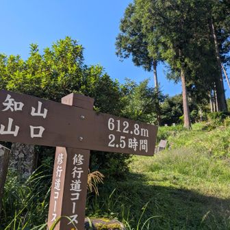 今日も秋晴れ
行ってきま~す