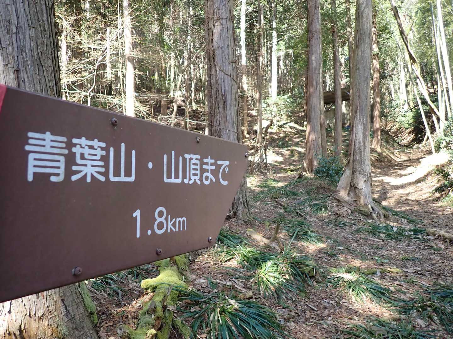 こっからスタート🏁　　久々過ぎて、ちょっと道に迷うという痛恨のミス！　　青葉山で初めてヤマップを開いたわ～💧(;-Д-)