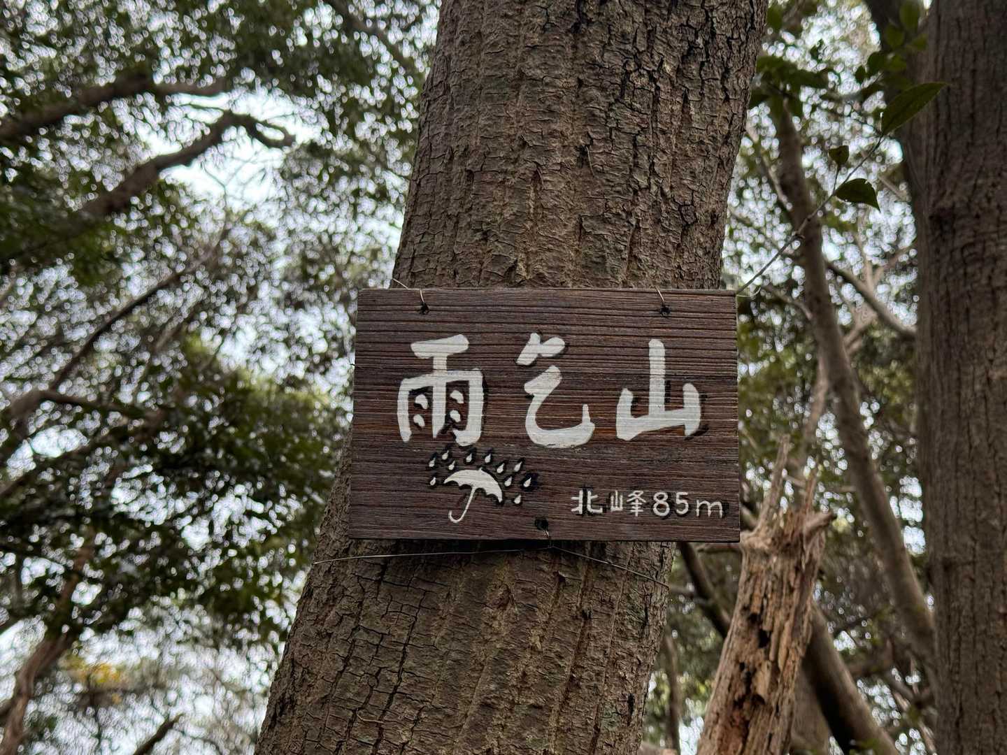 雨よ降れー☔️
