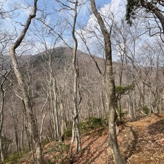 ここまでアップダウン繰り返して
ラスト東雨乞までの登りがめちゃキツイ🥵