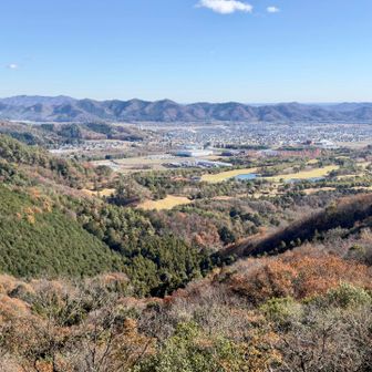 あのギザも行ってみようか？