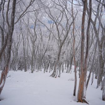 白瀬峠まで尾根を下る