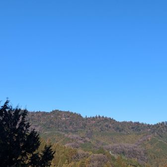 高尾山が見えまーす！