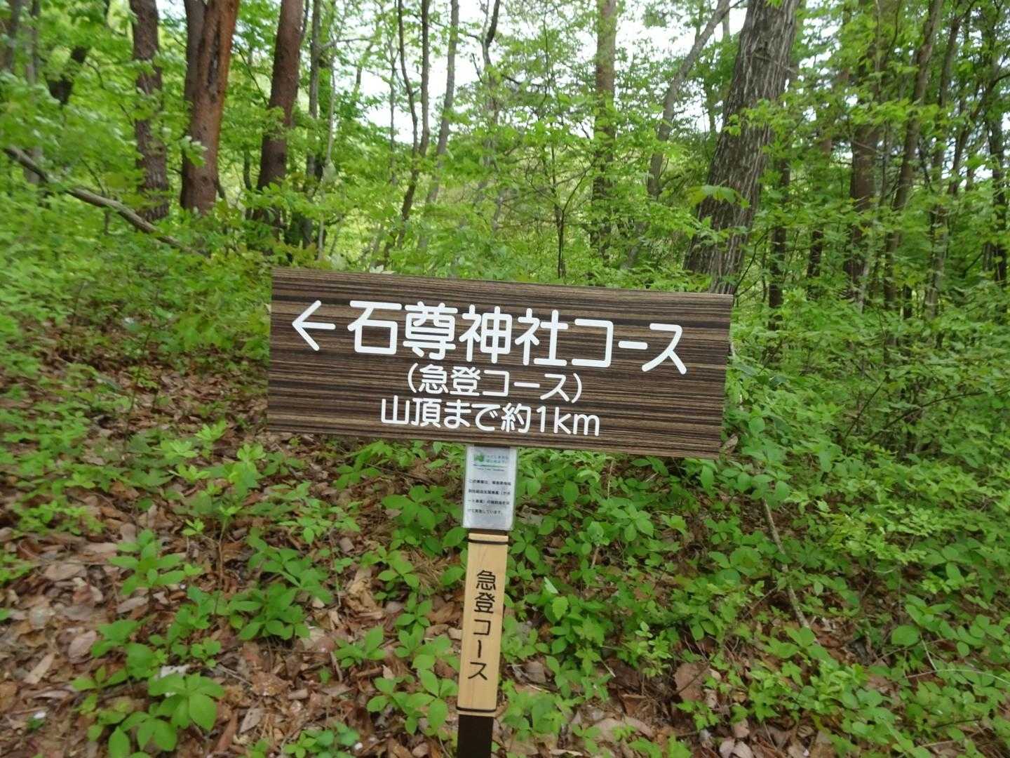 急登コース登るのもキツそうです。