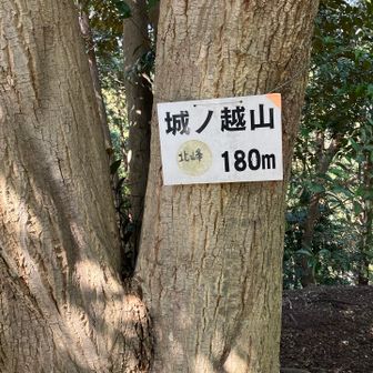 南峰から下って、また、登って
城ノ越山北峰です。景色は、無いかな？