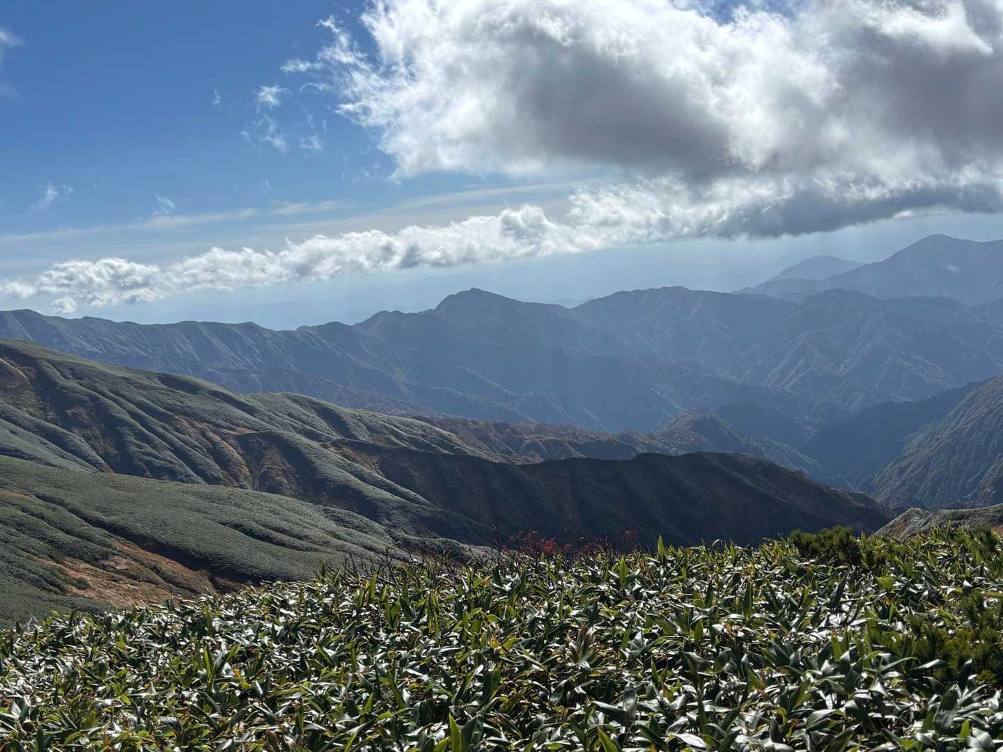 大日岳の尾根から続く
あれが西大日からの烏帽子なんかなー🤔